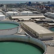 شرکت فجر انرژی خلیج فارس