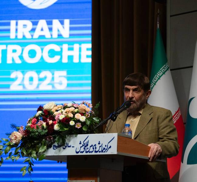 تدوین چشمانداز ۱۴۳۰ صنعت پتروشیمی یک ضرورت است/ باید روشمان را در پرداخت یارانهها تغییر دهیم/ کیش میتواند به یک دره رمزارز تبدیل شود