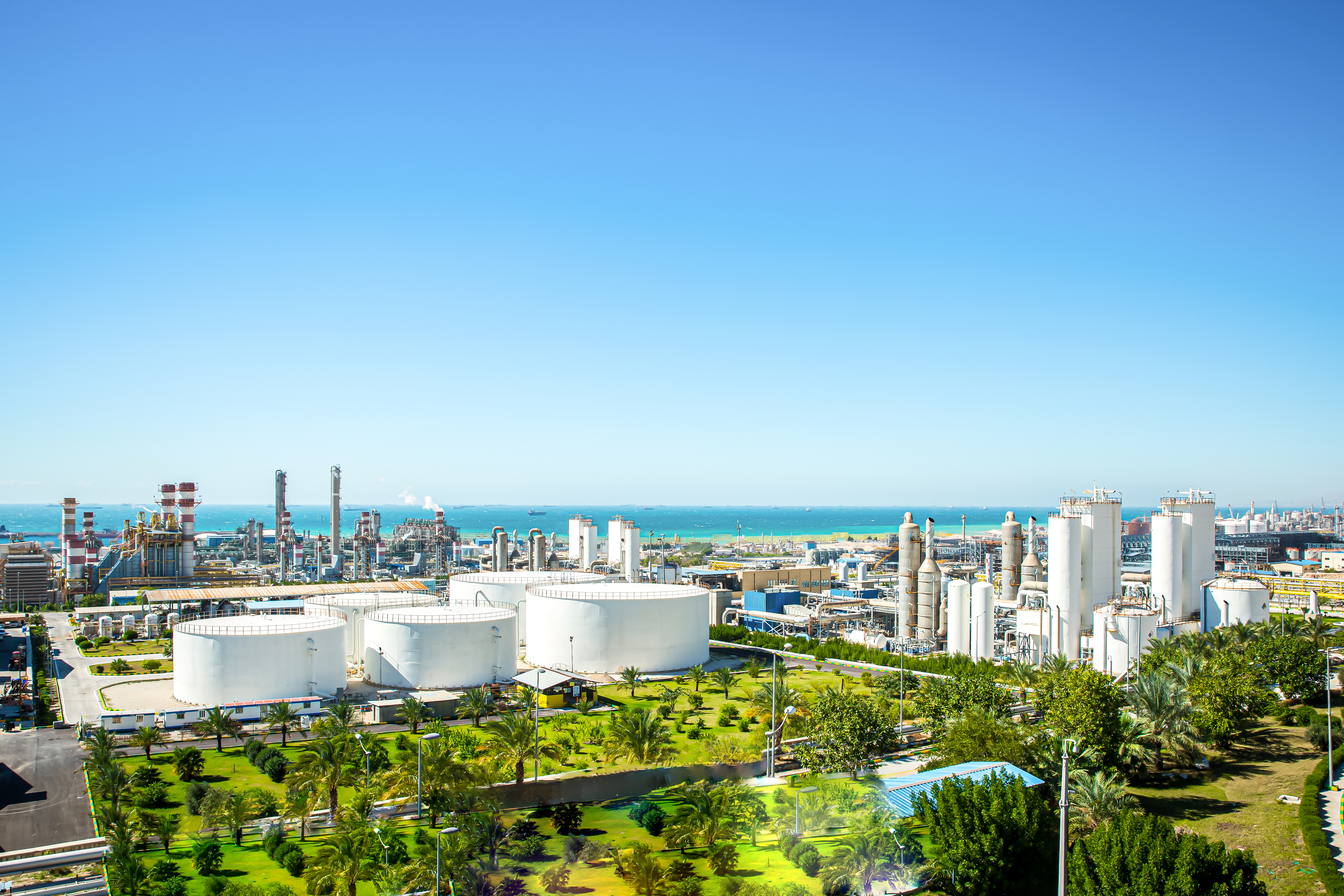 Decarbonization pathways for liquid fuels: A multi-sector energy system perspective